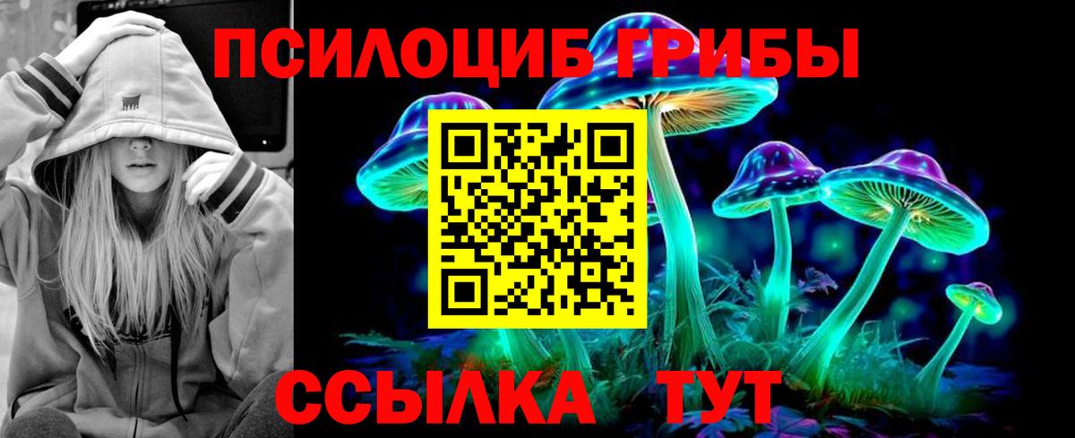 Псилоцибиновые грибы Psilocybine cubensis Благодарный
