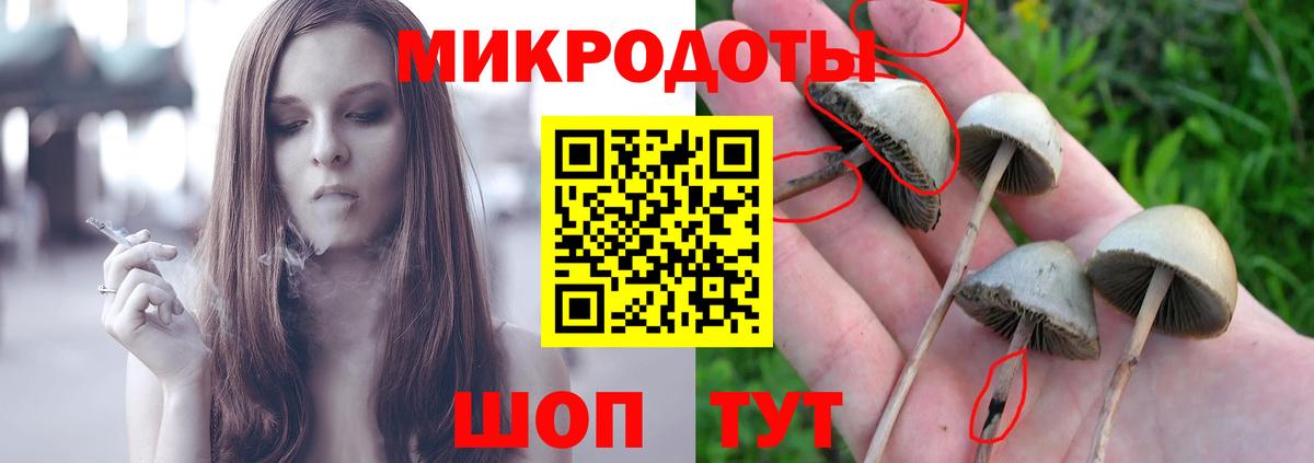 Псилоцибиновые грибы GOLDEN TEACHER  Псилоцибиновые грибы ЛСД  где купить   Благодарный  Вход с VPN 